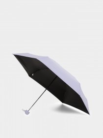 Зонт Braska модель 81-9101/308 Фото