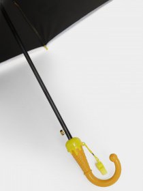 Зонт-трость Braska модель 83-9103/308 Фото