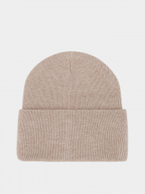 Шапка Braska модель 49884 Шапка Braska модель 49884 Фото