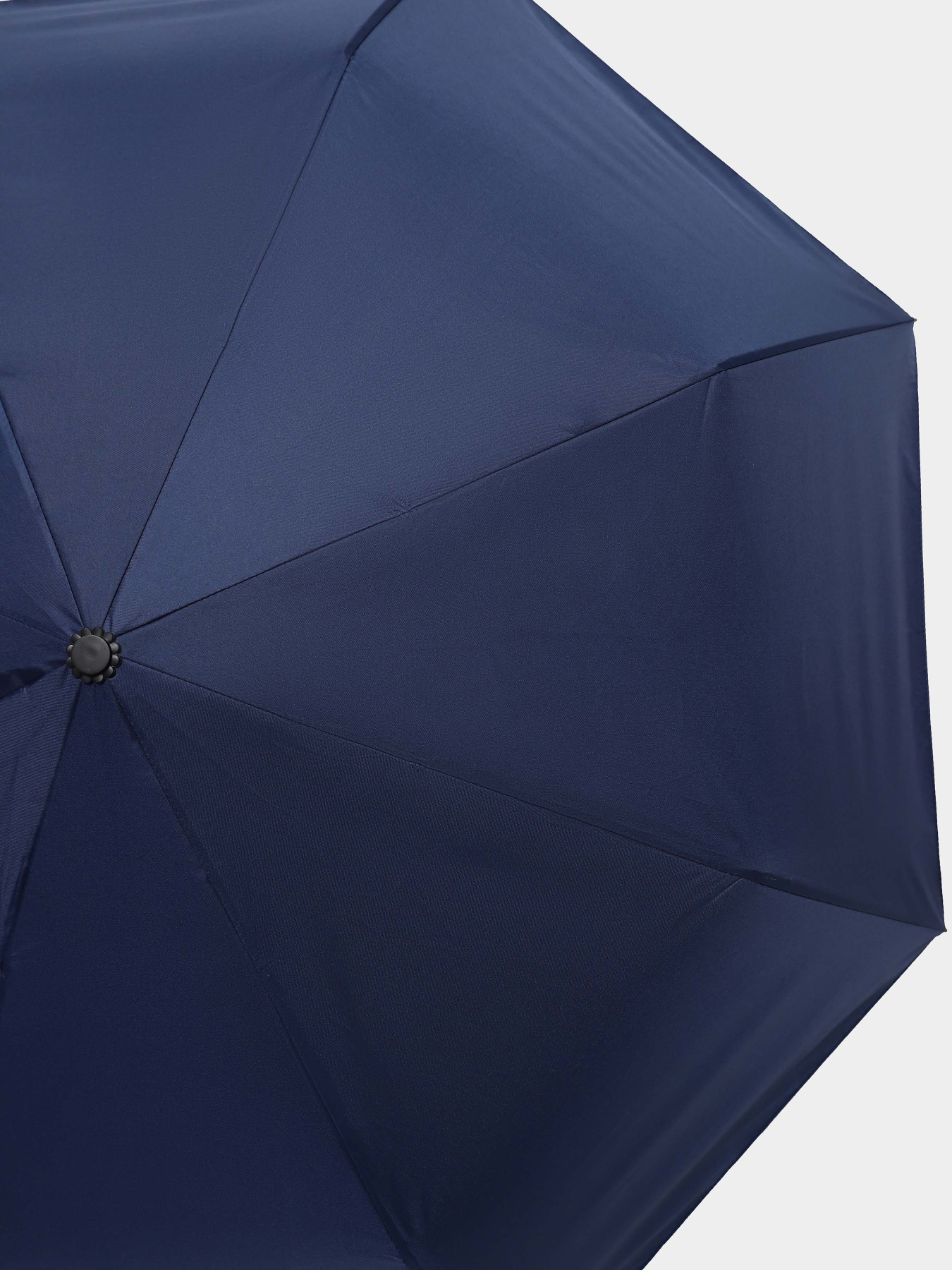 Зонт Braska модель 14-0076/309 Фото