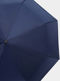 Зонт Braska модель 14-0076/309 Фото