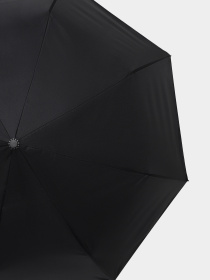 Зонт Braska модель 14-0076/301 Зонт Braska модель 14-0076/301 Фото