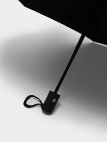 Зонт Braska модель 14-0076/317 Фото