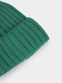 Шапка Braska модель 51294 Фото