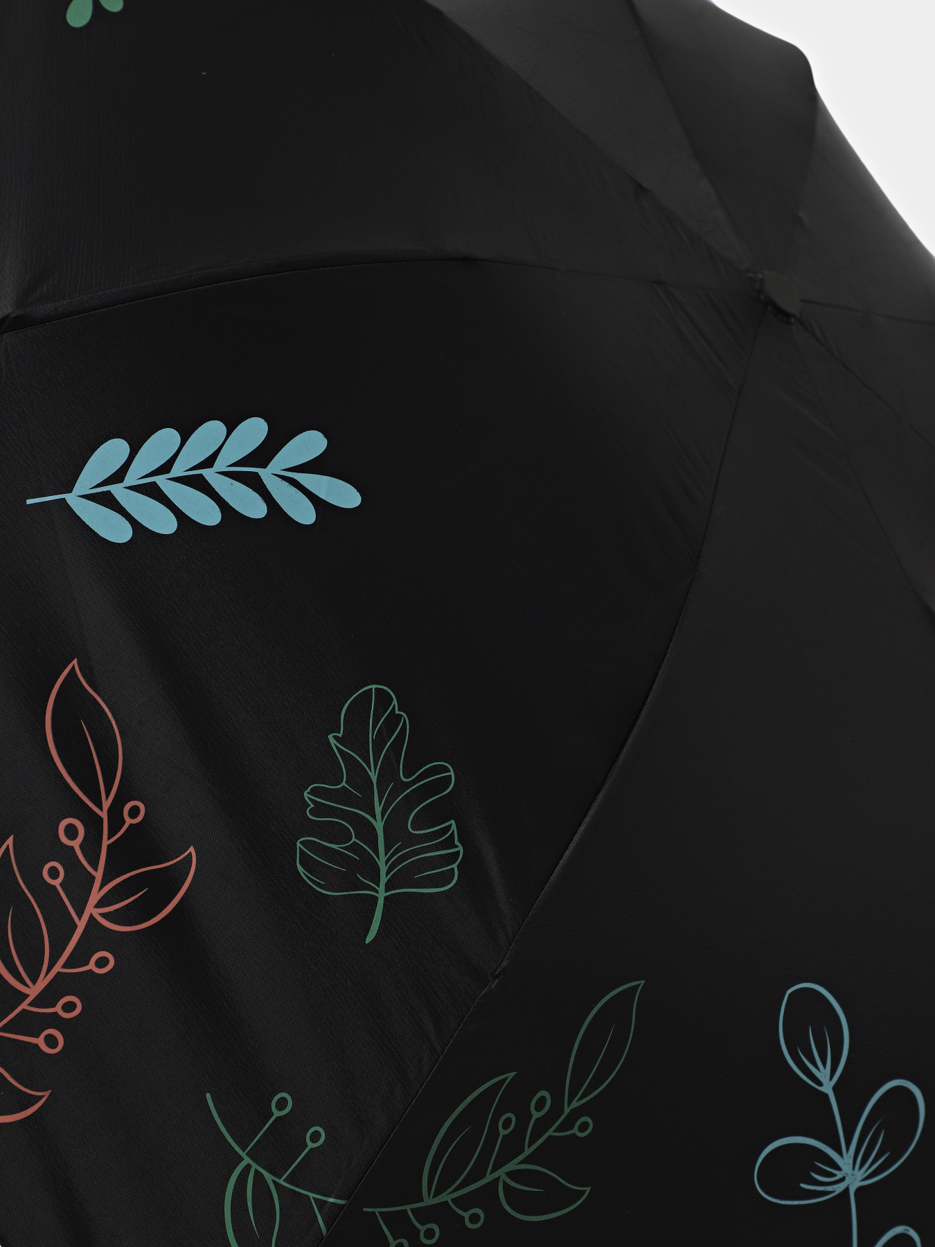 Зонт Braska модель 41-3940/401 Фото