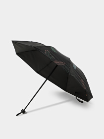 Зонт Braska модель 41-3940/401 Фото