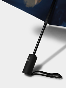 Зонт Braska модель 41-3941/401 Фото