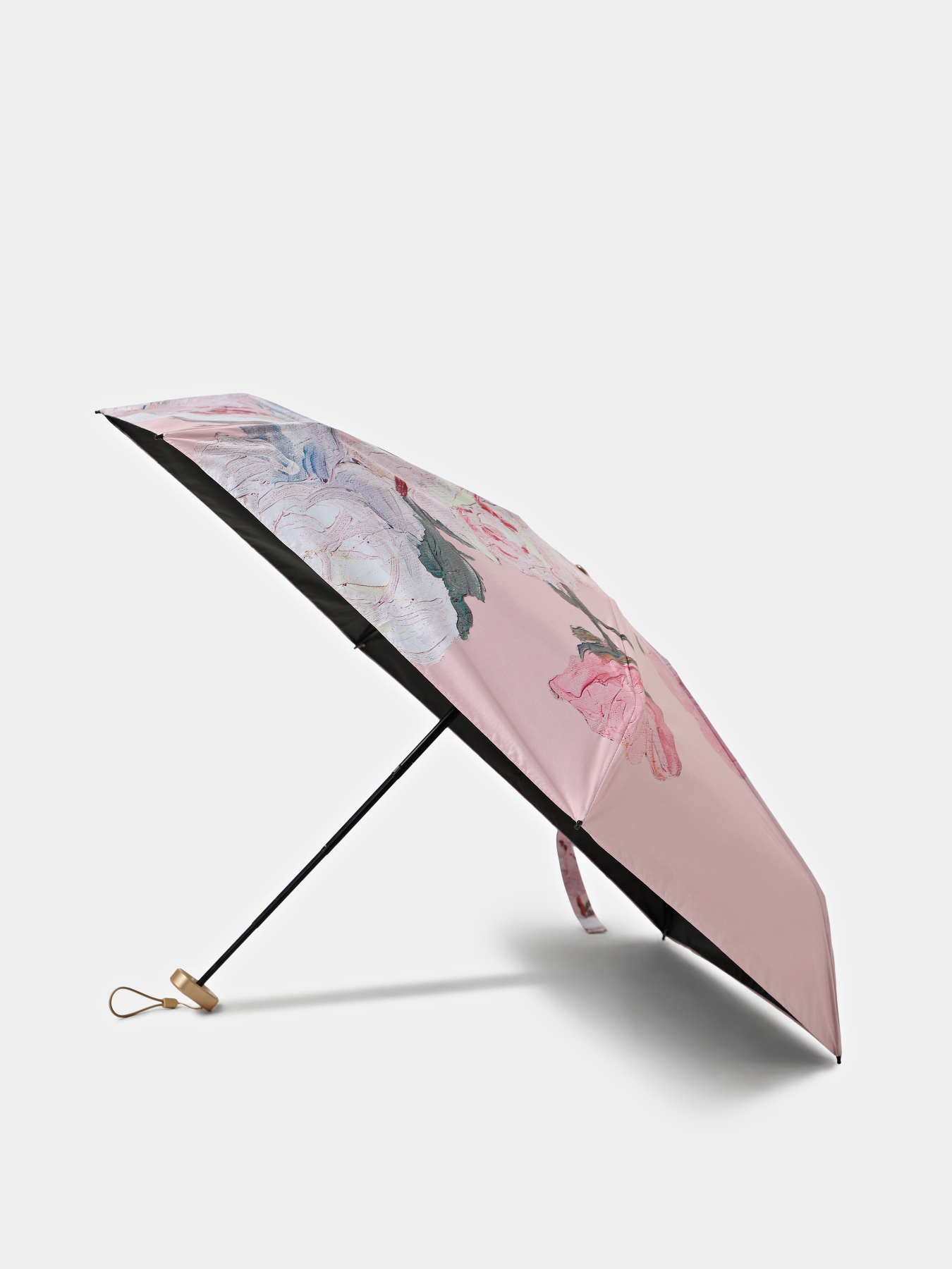 Зонт Braska модель 41-3942/418 Фото