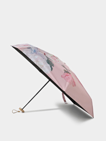 Зонт Braska модель 41-3942/418 Фото