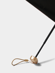 Зонт Braska модель 41-3942/418 Фото