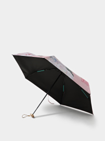 Зонт Braska модель 41-3942/418 Фото