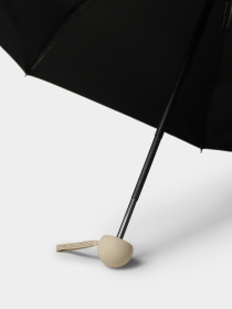 Зонт Braska модель 41-3943/411 Фото