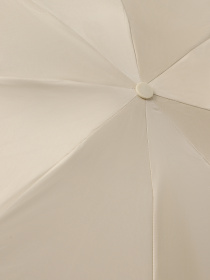 Зонт Braska модель 41-3943/411 Фото