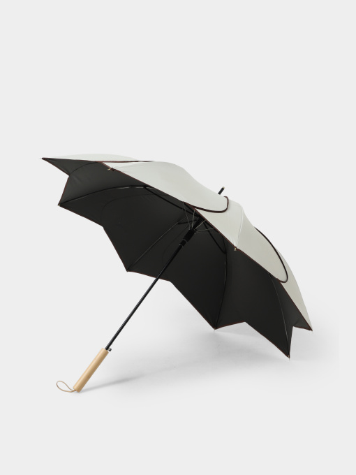 Зонт Braska модель 41-3944/480 Фото