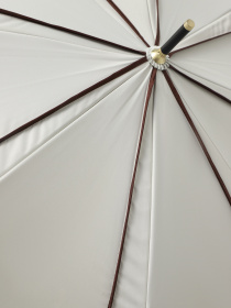 Зонт Braska модель 41-3944/480 Фото