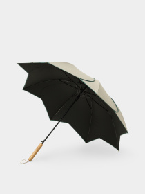 Braska модель 41-3944/404 Фото