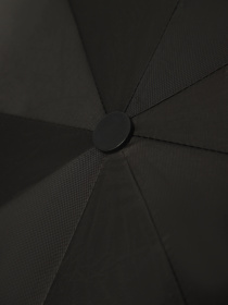 Зонт Braska модель 41-3943/401 Фото