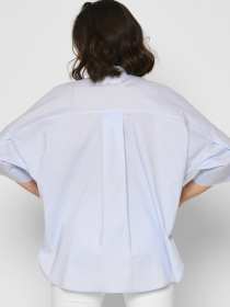 Сорочка повсякденна Braska модель BK-7728-11 Фото