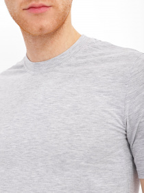 Футболка Braska модель 101-4 Фото