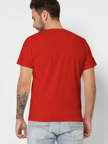 Футболки і поло Braska модель 101-14 Футболки і поло Braska модель 101-14 Фото