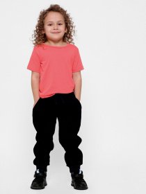 Футболка Braska модель 301-22 Фото