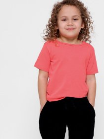 Футболка Braska модель 301-22 Фото