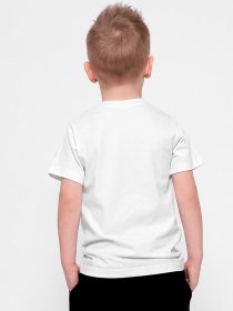 Футболка Braska модель 301-3 Фото