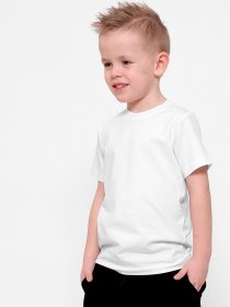 Футболка Braska модель 301-3 Фото