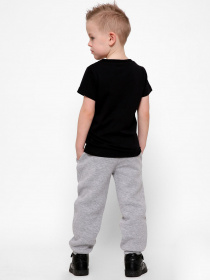 Футболка Braska модель 301-8 Фото