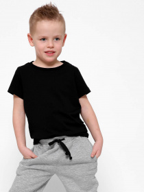 Футболка Braska модель 301-8 Фото