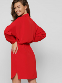 Сукні Braska модель KP-10351-14 Фото