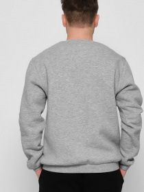 Свитшот Braska модель 107-4 Фото