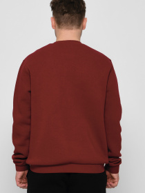 Свитшот Braska модель 107-33 Фото