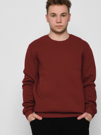 Свитшот Braska модель 107-33 Фото