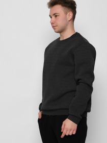 Свитшот Braska модель 107-29 Фото