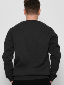 Свитшот Braska модель 107-29 Фото