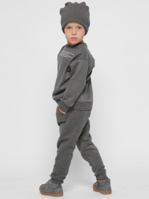 Спортивні штани Braska модель BR-12015F-29 Фото