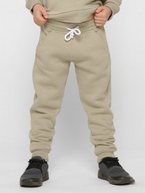 Спортивні штани Braska модель BR-12015F-32 Спортивні штани Braska модель BR-12015F-32 Фото