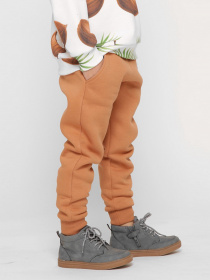 Штаны спортивные Braska модель BR-12015F-6 Фото