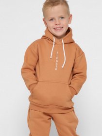 Худі Braska модель HD-12017-6 Фото