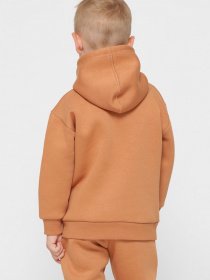 Худі Braska модель HD-12017-6 Фото