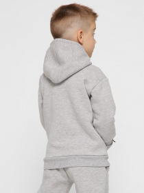 Худі Braska модель HD-12017-4 Фото