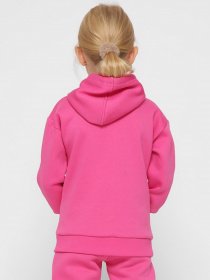 Худи Braska модель HD-12017-9 Фото