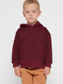 Худі Braska модель HD-12002-16 Фото