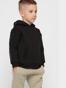 Худі Braska модель HD-12002-8 Фото