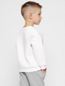 Свитшот Braska модель SV-12001-3 Фото