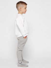 Свитшот Braska модель SV-12001-3 Фото