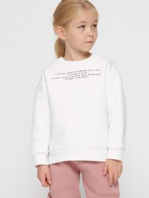 Свитшот Braska модель SV-12001-3 Фото