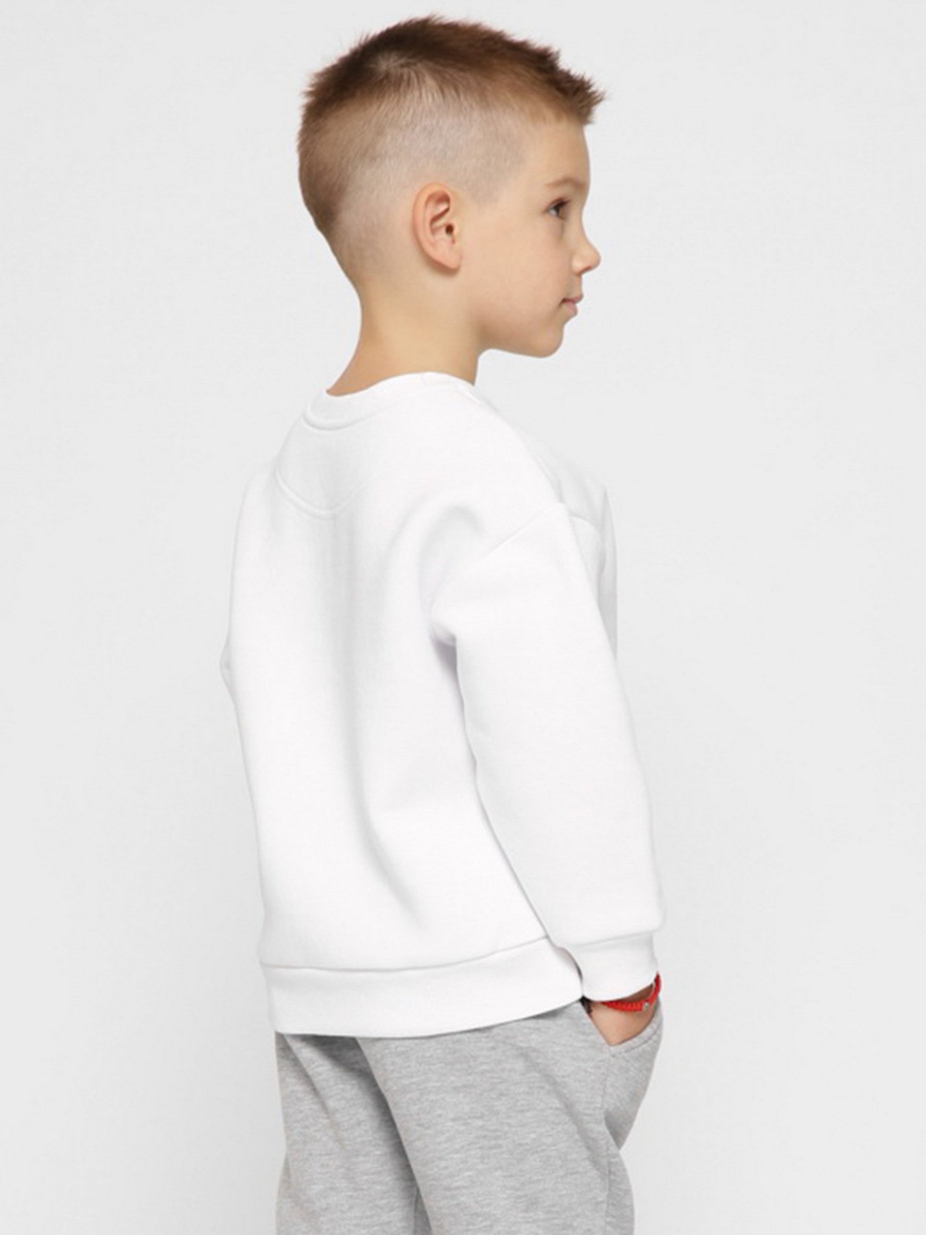 Світшот Braska модель SV-12001-3 Фото