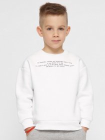 Світшот Braska модель SV-12001-3 Фото